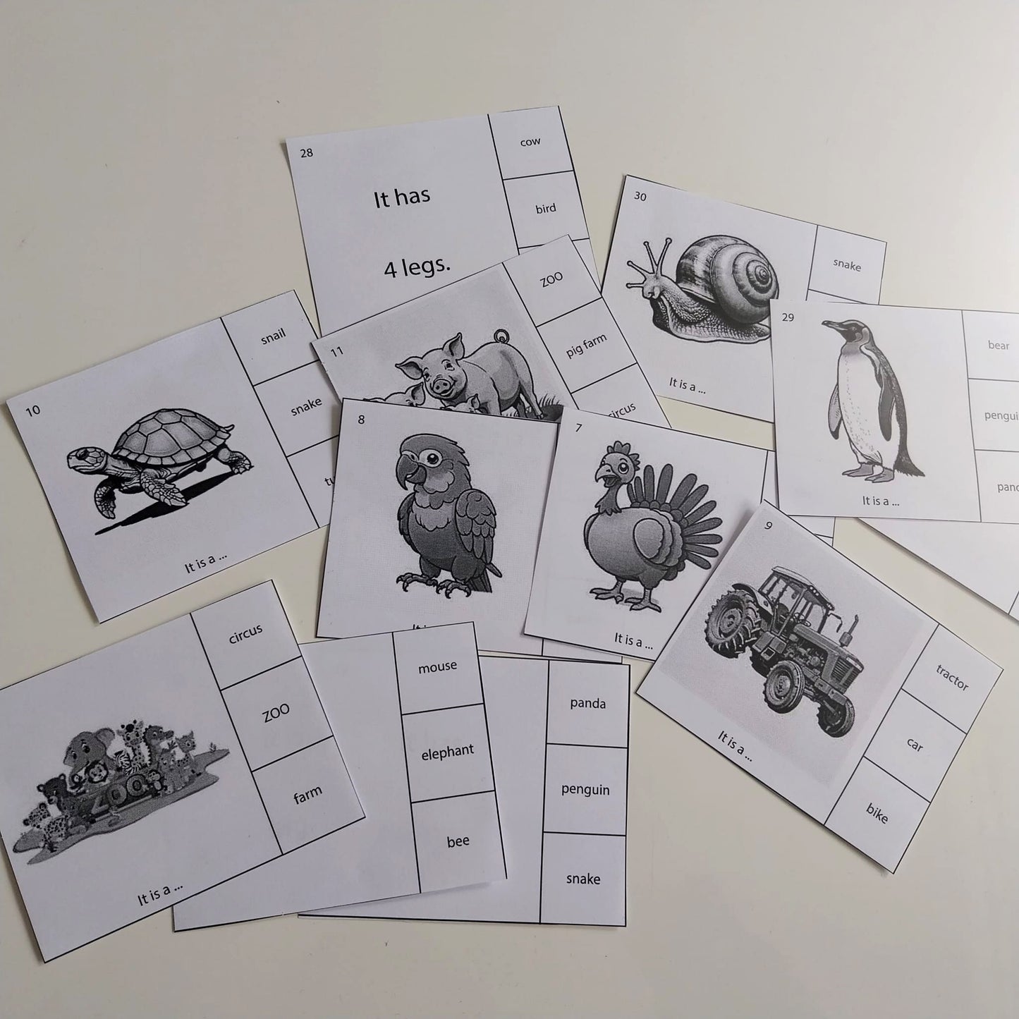 Angličtina s Kromovcami - Konverzačné karty animals (pdf verzia)